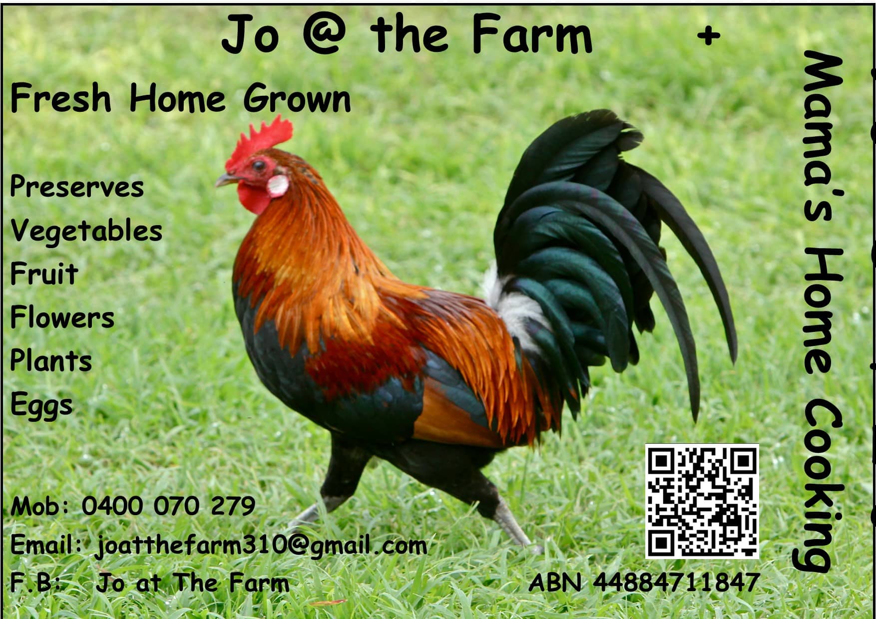 Happy days jo at the farm